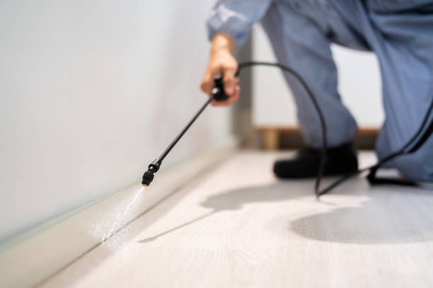 Licensed Pest Control service in Bar Nunn, WY - Show Me Pest Control