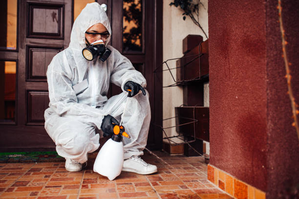 Multi-Unit and Airbnb Bed Bug Protocol in Bar Nunn