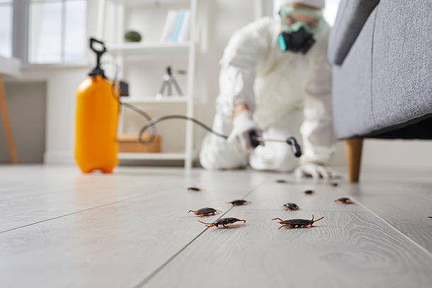 Post-Treatment Bed Bug Interceptor Monitoring in Bar Nunn
